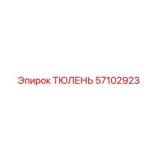 57102923 ТЮЛЕНЬ Epiroc