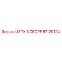 57129124 ЦЕПЬ В СБОРЕ Epiroc