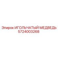 5724003268 ИГОЛЬЧАТЫЙ МЕДВЕДЬ Epiroc