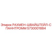 5730001884 РАХМЕН-ШВАЙШТЕЙЛ-СПАННТРОММ Epiroc