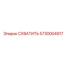 5730004917 СХВАТИТЬ Epiroc