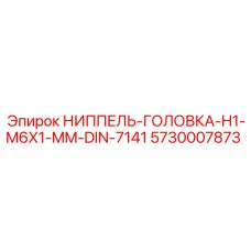 5730007873 НИППЕЛЬ-ГОЛОВКА-H1-M6X1-MM-DIN-7141 Epiroc