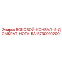 5730010200 БОКОВОЙ КОНВАЛ И ДОМКРАТ НОГА RAI Epiroc