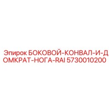 5730010200 БОКОВОЙ КОНВАЛ И ДОМКРАТ НОГА RAI Epiroc