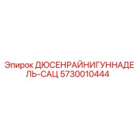 5730010444 ДЮСЕНРАЙНИГУННАДЕЛЬ-САЦ Epiroc
