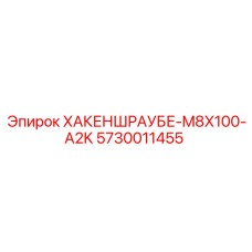 5730011455 ХАКЕНШРАУБЕ-M8X100-A2K Эпирок