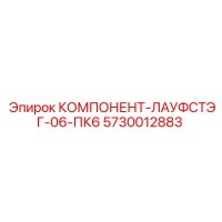 5730012883 КОМПОНЕНТ-ЛАУФСТЭГ-06-ПК6 Epiroc