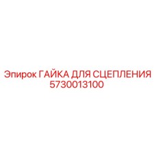5730013100 ГАЙКА ДЛЯ СЦЕПЛЕНИЯ Epiroc