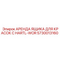 5730013160 АРЕНДА ЯЩИКА ДЛЯ КРАСОК С HARTL-WOR Epiroc
