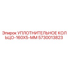 5730013823 УПЛОТНИТЕЛЬНОЕ КОЛЬЦО-160X5-ММ от Epiroc