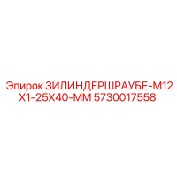 5730017558 Cylinder Screw M12x1.25x40 mm by Epiroc