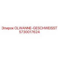 5730017624 OLWANNE-GESCHWEISST Epiroc