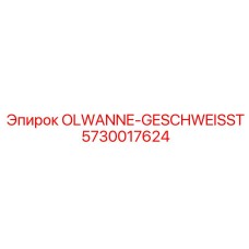 5730017624 OLWANNE-GESCHWEISST Epiroc