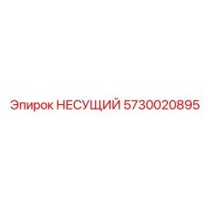 Оригинальный несущий подшипник 5730020895 с двойным рядом роликов Epiroc