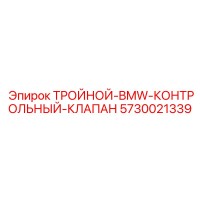 5730021339 ТРОЙНОЙ-BMW-КОНТРОЛЬНЫЙ-КЛАПАН Epiroc