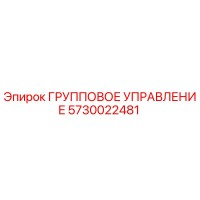 5730022481 ГРУППОВОЕ УПРАВЛЕНИЕ Epiroc