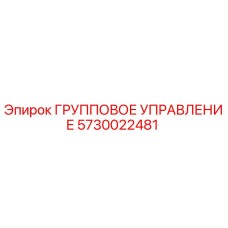 5730022481 ГРУППОВОЕ УПРАВЛЕНИЕ Epiroc