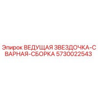 5730022543 ВЕДУЩАЯ ЗВЕЗДОЧКА-СВАРНАЯ-СБОРКА Epiroc