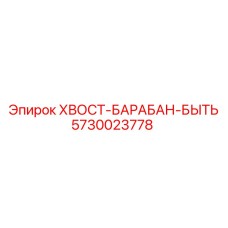 5730023778 ХВОСТ-БАРАБАН-БЫТЬ | Epiroc