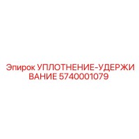 5740001079 УПЛОТНЕНИЕ-УДЕРЖИВАНИЕ Epiroc