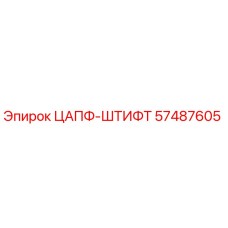 57487605 ЦАПФ-ШТИФТ Эпирок