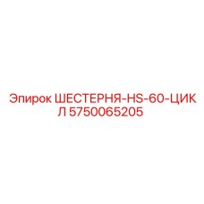 5750065205 ШЕСТЕРНЯ-HS-60-ЦИКЛ Epiroc