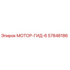 57848186 МОТОР-ГИД-6 Epiroc