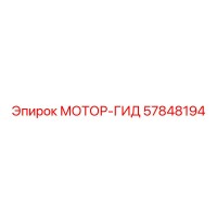 57848194 МОТОР-ГИД Epiroc