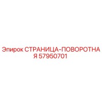 57950701 СТРАНИЦА-ПОВОРОТНАЯ Epiroc