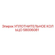 58006081 УПЛОТНИТЕЛЬНОЕ КОЛЬЦО Epiroc