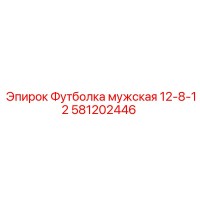 581202446 Футболка мужская 12-8-12 Epiroc
