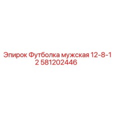 Изображение мужской футболки Epiroc артикул 581202446