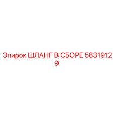 58319129 ШЛАНГ В СБОРЕ Эпирок
