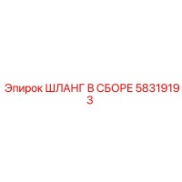 58319193 ШЛАНГ В СБОРЕ Эпирок