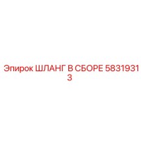 58319313 ШЛАНГ В СБОРЕ Эпирок