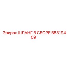58319409 ШЛАНГ В СБОРЕ Эпирок