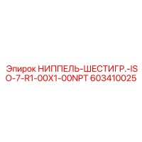 603410025 НИППЕЛЬ-ШЕСТИГР.-ISO-7-R1-00X1-00NPT Epiroc