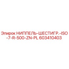 603410403 НИППЕЛЬ-ШЕСТИГР.-ISO-7-R-500-ZN-PL Epiroc