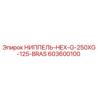 603600100 НИППЕЛЬ-HEX-G-250XG-125-BRAS Epiroc