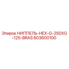 603600100 НИППЕЛЬ-HEX-G-250XG-125-BRAS Epiroc
