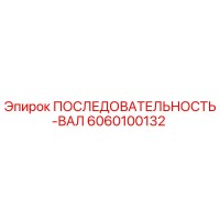 6060100132 ПОСЛЕДОВАТЕЛЬНОСТЬ-ВАЛ Epiroc