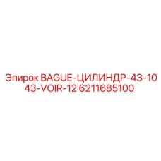 6211685100 BAGUE-ЦИЛИНДР-43-1043-VOIR-12 Epiroc