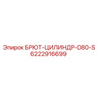 6222916699 БРЮТ-ЦИЛИНДР-D80-S Epiroc