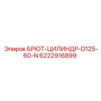 6222916899 БРЮТ-ЦИЛИНДР-D125-60-N Epiroc