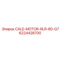 6224428700 CALE-MOTOR-RLR-80-G7 Epiroc
