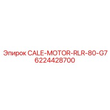 6224428700 CALE-MOTOR-RLR-80-G7 Epiroc