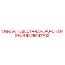 6225597700 НЕВЕСТА-ES-EAU-CHANGEUR Epiroc
