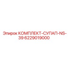 6229019000 КОМПЛЕКТ-СУПАП-NS-39 Epiroc