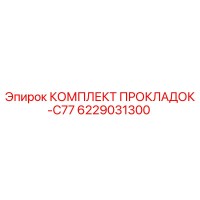 6229031300 КОМПЛЕКТ ПРОКЛАДОК-C77 Epiroc