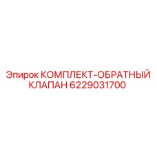 6229031700 КОМПЛЕКТ-ОБРАТНЫЙ КЛАПАН Epiroc